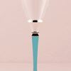 Picture of Something Blue Wedding Champagne Flutes